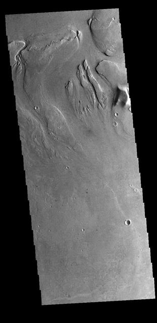 This VIS image shows part of the channel called Athabasca Valles. Several streamlined islands are visible at the top of the image. Orbit Number: 77224 Latitude: 7.56007 Longitude: 154.397 Instrument: VIS Captured: 2019-05-12 22:19 https://photojournal.jpl.nasa.gov/catalog/PIA23322