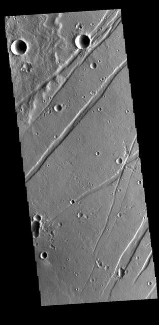 The linear depressions in this VIS image are graben called Labeatis Fossae. Graben are formed when extension between paired faults causes the material to move downward. Orbit Number: 77282 Latitude: 26.3831 Longitude: 278.283 Instrument: VIS Captured: 2019-05-17 17:04 https://photojournal.jpl.nasa.gov/catalog/PIA23324