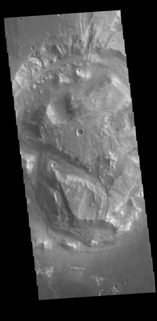 Today's VIS image shows a complex block of material located on the floor of an unnamed crater in Arabia Terra. The feature is offset from the center of the circular depression and is approximately the same height of the surrounding surface. It is unlikely to be a peak created during the cratering event. Perhaps the crater is not an impact formed feature and was created by some other process. It is often difficult to interpret the geologic processes that created landforms from data collected far above the surface. Orbit Number: 77292 Latitude: 33.8263 Longitude: 348.721 Instrument: VIS Captured: 2019-05-18 12:52 https://photojournal.jpl.nasa.gov/catalog/PIA23325