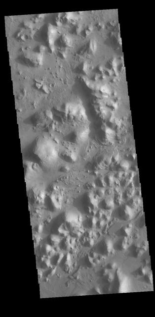 Today's VIS image shows part of Arena Colles. The term colles means hills. Arena Colles is located on the margin where Terra Sabaea steps down in elevation into Utopia Planitia. Orbit Number: 77476 Latitude: 25.1573 Longitude: 81.0592 Instrument: VIS Captured: 2019-06-02 16:28 https://photojournal.jpl.nasa.gov/catalog/PIA23333
