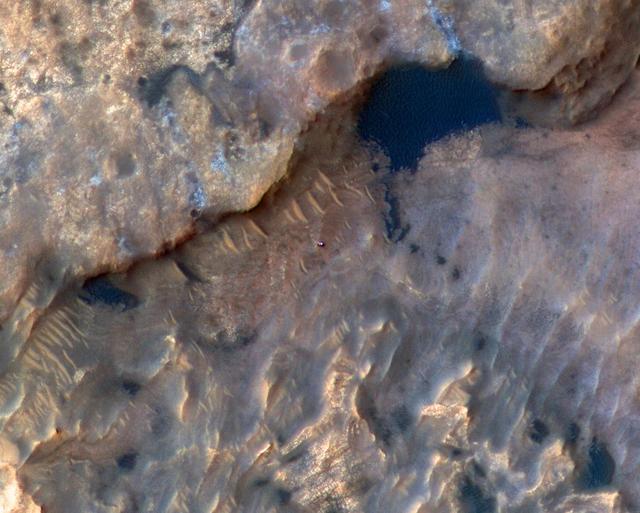 NASA's Curiosity Mars rover can be seen in this image taken from space on May 31, 2019, by the High Resolution Imaging Science Experiment (HiRISE) camera aboard the Mars Reconnaissance Orbiter (MRO). In the image, Curiosity appears as a bluish speck. The image shows Curiosity at a location called "Woodland Bay." It's just one of many stops the rover has made in an area referred to as the "clay-bearing unit" on the side of Mount Sharp, a 3-mile-tall (5-kilometer-tall) mountain inside of Gale Crater. Look carefully, and you can make out what it is likely Curiosity's "head," technically known as the remote sensing mast. A bright spot appears in the upper-left corner of the rover. At the time this image was acquired, the rover was facing 65 degrees counterclockwise from north, which would put the mast in about the right location to produce this bright spot. https://photojournal.jpl.nasa.gov/catalog/PIA23341