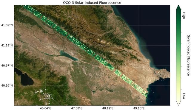 NASA image: OCO-3's First Solar-Induced Fluorescence Measurements