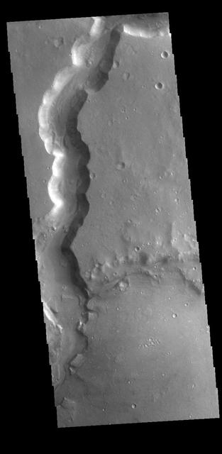 Bahram Vallis crosses this VIS image. Bharam Vallis drains from the the higher elevations of Lunae Planum into the Chryse Planitia basin. At the base of several of the scalloped channel wall sections deposits of material can be seen. Orbit Number: 77643 Latitude: 20.8706 Longitude: 303.262 Instrument: VIS Captured: 2019-06-16 10:30 https://photojournal.jpl.nasa.gov/catalog/PIA23363