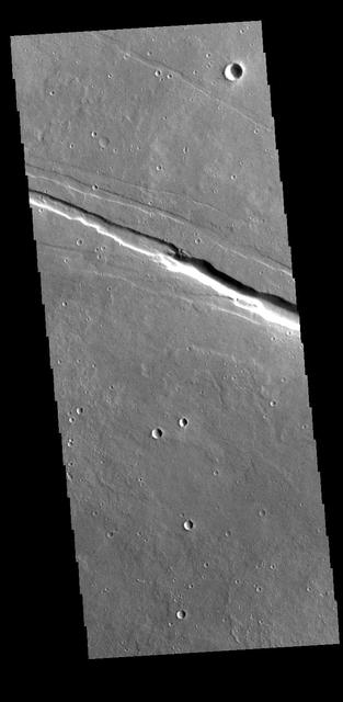 Today's VIS image shows a section of one of the graben that comprise Elysium Fossae. Graben are formed during tectonic activity, where blocks of material slide down between paired faults. Graben are common around volcanic regions on Mars. The rise of magma to the surface bows up the ground, creating the extensive forces that create graben. Orbit Number: 77698 Latitude: 22.948 Longitude: 156.114 Instrument: VIS Captured: 2019-06-20 23:13 https://photojournal.jpl.nasa.gov/catalog/PIA23366