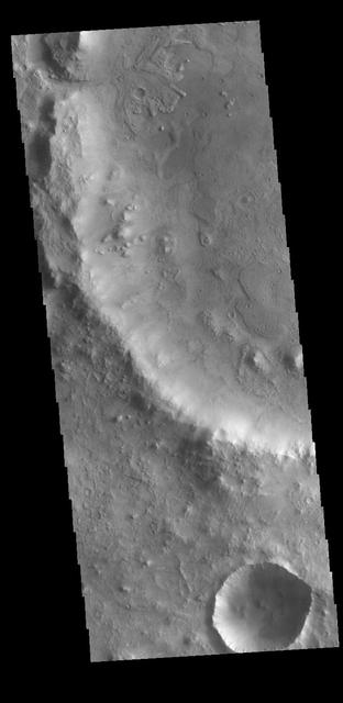 At the top of today's VIS image is a delta deposit that was created by the flow from the rim channel into the crater. Deltas form when sediments settle out due to a decrease in speed of a river system. Deltas often form where large rivers flow into the ocean, like the Mississippi and Nile deltas. This can also occur where rivers flow into large lakes, such as the Great Salt Lake and Lake St. Clair river deltas. It is believed that the Jezero Crater delta formed this way. The delta in Jezero Crater has been chosen as the location for the Mars 2020 mission.  Orbit Number: 77838 Latitude: 18.1853 Longitude: 77.4252 Instrument: VIS Captured: 2019-07-02 11:53  https://photojournal.jpl.nasa.gov/catalog/PIA23386