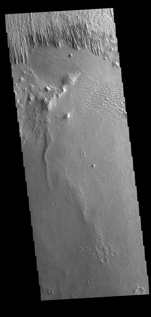 Yardangs are present at the top of this VIS image. These features are created by long term winds scouring a poor cemented surface material into linear ridges and valleys. These yardangs are part of the Medusa Fossae Formation. It has been suggested that this region of Mars provides a large percentage of the surface dust seen around the planet. Ash falls from nearby volcanoes may have been the source of the surface materials eroded into these and other wind eroded landforms. Orbit Number: 77922 Latitude: -12.7644 Longitude: 177.96 Instrument: VIS Captured: 2019-07-09 09:43 https://photojournal.jpl.nasa.gov/catalog/PIA23398