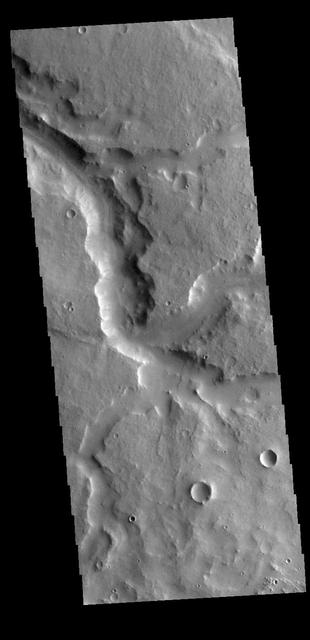 Today's VIS image shows a section of Naktong Vallis. Naktong Vallis is located in Terra Sabaea.  Orbit Number: 77927 Latitude: 6.21741 Longitude: 31.221 Instrument: VIS Captured: 2019-07-09 19:42  https://photojournal.jpl.nasa.gov/catalog/PIA23399