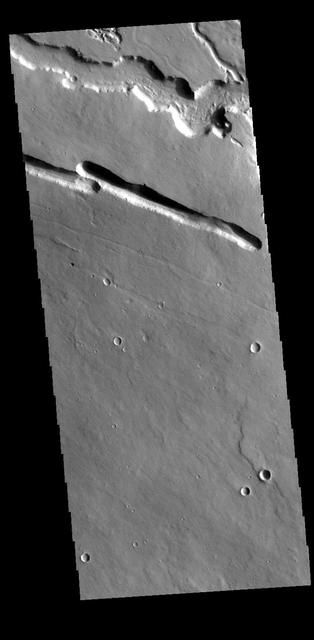 NASA image: Elysium Fossae