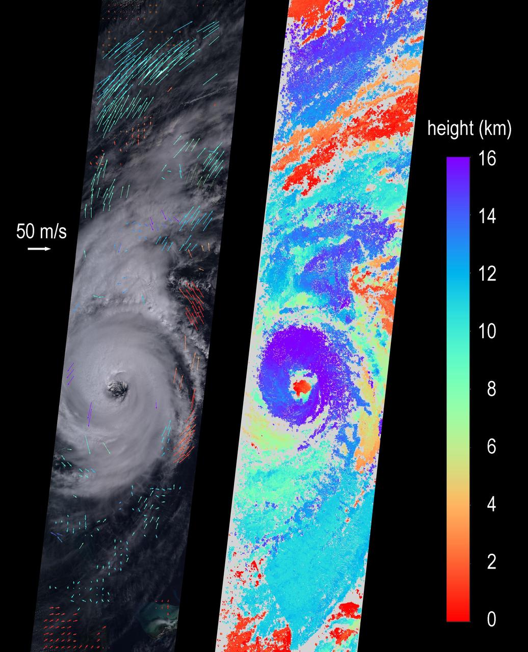 On Sept. 5, 2019 at about noon EDT, the Multi-angle Imaging SpectroRadiometer (MISR) instrument aboard NASA's Terra satellite passed over the eye of Hurricane Dorian as the storm tracked northeast along the Atlantic coast, about 50 miles from Charleston, South Carolina. During this time, Dorian was weakening from Category 3 to Category 2 following a second period of intensification.  MISR carries nine cameras fixed at different angles, each of which viewed Dorian over a period of about seven minutes. The multi-camera views are used to calculate the heights of the cloud tops, and the motion of the clouds between the views provides information on wind speed and direction. The left side of the image shows the view from the downward-pointing (nadir) camera, with wind velocity vectors superimposed over it. The derived cloud-top heights are shown at the right, along with the color scale.  The length of the wind arrows is proportional to wind speed and their colors show the altitude of the cloud tops in kilometers. MISR observed cyclonic (counterclockwise) wind speeds up to 35 meters per second (78 miles per hour) at altitudes of 3-4 kilometers (1.9 to 2.5 miles), consistent with maximal wind gusts reported by the National Hurricane Center based on data from local weather stations and buoys.  At higher altitudes of 11-12 kms (6.8-7.5 miles), MISR observed anti-cyclonic (clockwise) wind speeds up to 55 meters per second (123 mph). The eye, spiral rainbands, and reversal of wind direction between low and high altitudes are typical features of a hurricane's anatomy.  https://photojournal.jpl.nasa.gov/catalog/PIA23423