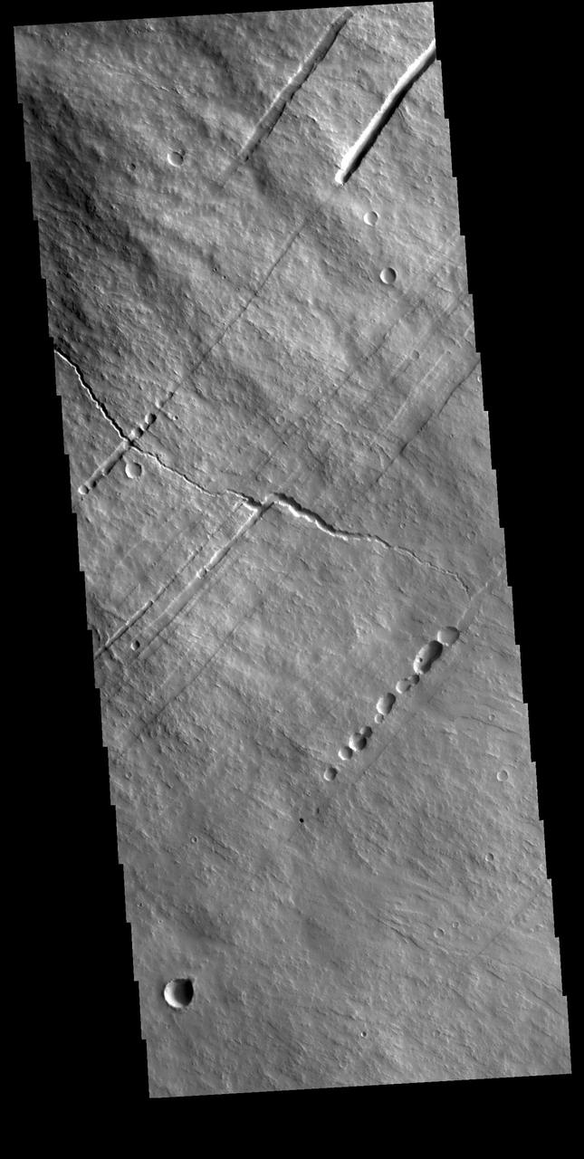 This VIS image shows part of the southwestern flank of Pavonis Mons. Pavonis Mons is the central volcano of the three large Tharsis volcanoes. All three volcanoes form a line located along a tectonic bulge caused by extensional forces in the region. Pavonis Mons is the smallest of the three with a summit of only 14km (46,000 ft). The linear features in the image are concentric faults. Pavonis means peacock in Latin, making the name peacock mountain.  Orbit Number: 78194 Latitude: -0.288861 Longitude: 248.551 Instrument: VIS Captured: 2019-07-31 19:21  https://photojournal.jpl.nasa.gov/catalog/PIA23446