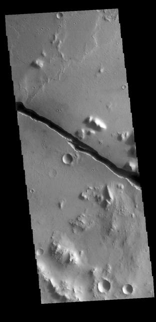 Today's VIS image shows part of Cerberus Fossae. These large graben cut across the Tartarus Montes in Elysium Planitia. A graben forms when large blocks of material slide downward between paired faults in regions of extensional stresses. The straight sides and uniform depths are indications that these are tectonic features rather than channels caused by fluid erosion. Cerberus Fossae graben are 1235 km long, approximately the distance between Los Angeles, California and Albuquerque, New Mexico. Orbit Number: 78222 Latitude: 10.4327 Longitude: 159.273 Instrument: VIS Captured: 2019-08-03 02:45 https://photojournal.jpl.nasa.gov/catalog/PIA23449