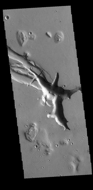Located west of the Elysium Volcanic complex, Hebrus Valles is a complex channel system that flowed to the north. In this VIS image the there are fluid created channels and tectonic formed depressions. In other portions of the valles, there are pits and collapse features which appear to have formed by material falling into subsurface voids. This is a common feature in regions of volcanic activity where lava tubes run below the surface. Both water and lava contributed to the formation of Hebrus Valles. Orbit Number: 78248 Latitude: 17.8704 Longitude: 128.118 Instrument: VIS Captured: 2019-08-05 06:11 https://photojournal.jpl.nasa.gov/catalog/PIA23458