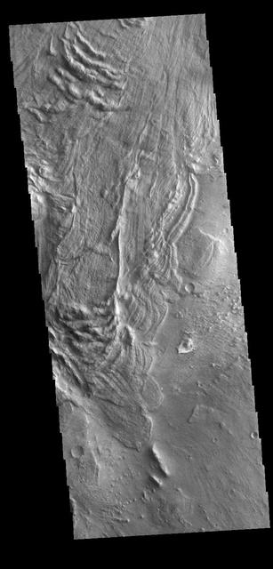 This VIS image is located in Melas Chasma. The linear and arcuate features are on the surface of a large landslide. This region of Melas Chasma is covered by several very large landslide deposits. Melas Chasma is part of the largest canyon system on Mars, Valles Marineris. At only 563 km long (349 miles) Melas is not the longest canyon, but it is the widest. Located in the center of Valles Marineris, it has depths up to 9,000 meters (30,000 feet) from the surrounding plains. In addition to landslide deposits, there are layered materials and sand dunes. There is evidence of both water and wind action as modes of formation for many of the interior deposits.  Orbit Number: 78255 Latitude: -10.9711 Longitude: 290.017 Instrument: VIS Captured: 2019-08-05 19:51  https://photojournal.jpl.nasa.gov/catalog/PIA23459