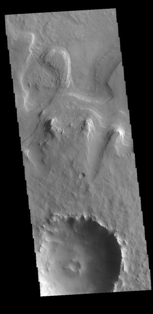 Today's VIS image shows one of several craters located on the floor of the much larger Tikhonravov Crater in Terra Sabaea. Named for Russian rocket scientist, Mikhail Tikhonravov, the crater is thought to have been the location of a large lake, which may have laid down layers of material now exposed on the margins of this pedestal crater. A pedestal crater is formed by removal of surface materials around a resistant layer of ejecta, eventually leaving the crater and ejecta as a mesa or plateau on the lower elevation base surface.  Orbit Number: 78401 Latitude: 12.9296 Longitude: 34.4892 Instrument: VIS Captured: 2019-08-17 20:32  https://photojournal.jpl.nasa.gov/catalog/PIA23481