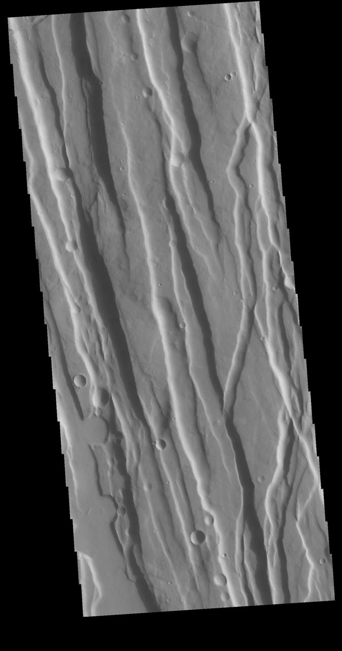 This VIS image shows part of Ceraunius Fossae. The linear depressions are fault bounded features called graben. Graben form from tectonic forces that are pulling apart the surface, created space for material to "slide down" along the fault. Alba Mons is surrounded by extensive regions of closely spaced graben. Ceraunius Fossae is located south of Alba Mons. Orbit Number: 78406 Latitude: 27.7831 Longitude: 248.084 Instrument: VIS Captured: 2019-08-18 06:29 https://photojournal.jpl.nasa.gov/catalog/PIA23484