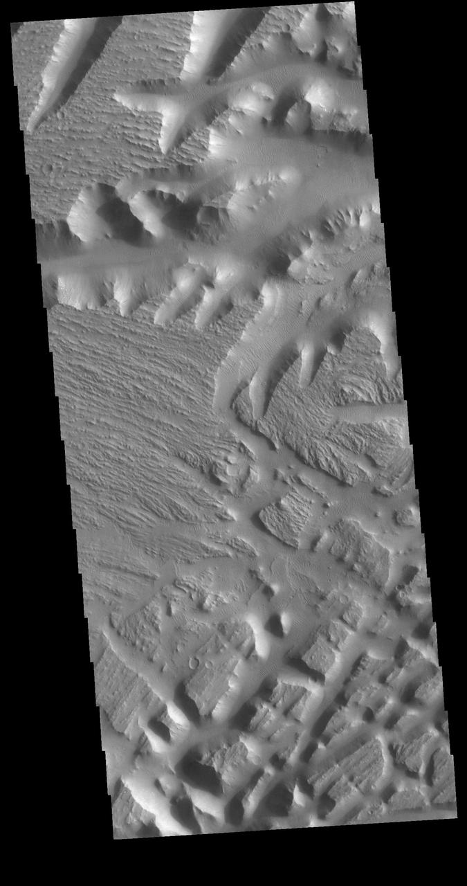 This VIS image covers part of Nilus Mensae. Located in the region where the northward flowing channel from Valles Marineris becomes the eastward flowing Kasei Valles, Nilus Mensae is a complex region of tectonic faulting and fluid flow features. In addition to the scoured surface, sand dunes are visible in depressions throughout the image. Orbit Number: 78517 Latitude: 21.6368 Longitude: 286.455 Instrument: VIS Captured: 2019-08-27 09:50 https://photojournal.jpl.nasa.gov/catalog/PIA23486
