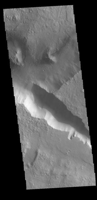 This VIS image is located in Terra Cimmeria, near the margin with Nepenthes Mensae. The highlands of Terra Cimmeria are at the bottom of the image. Tectonic activity has created fault blocked regions along the highland boundary. With time and erosion, the blocks become isolated mesas, and then the low hills of Nepenthes Mensae. Orbit Number: 78685 Latitude: 1.97703 Longitude: 122.103 Instrument: VIS Captured: 2019-09-10 05:44 https://photojournal.jpl.nasa.gov/catalog/PIA23489