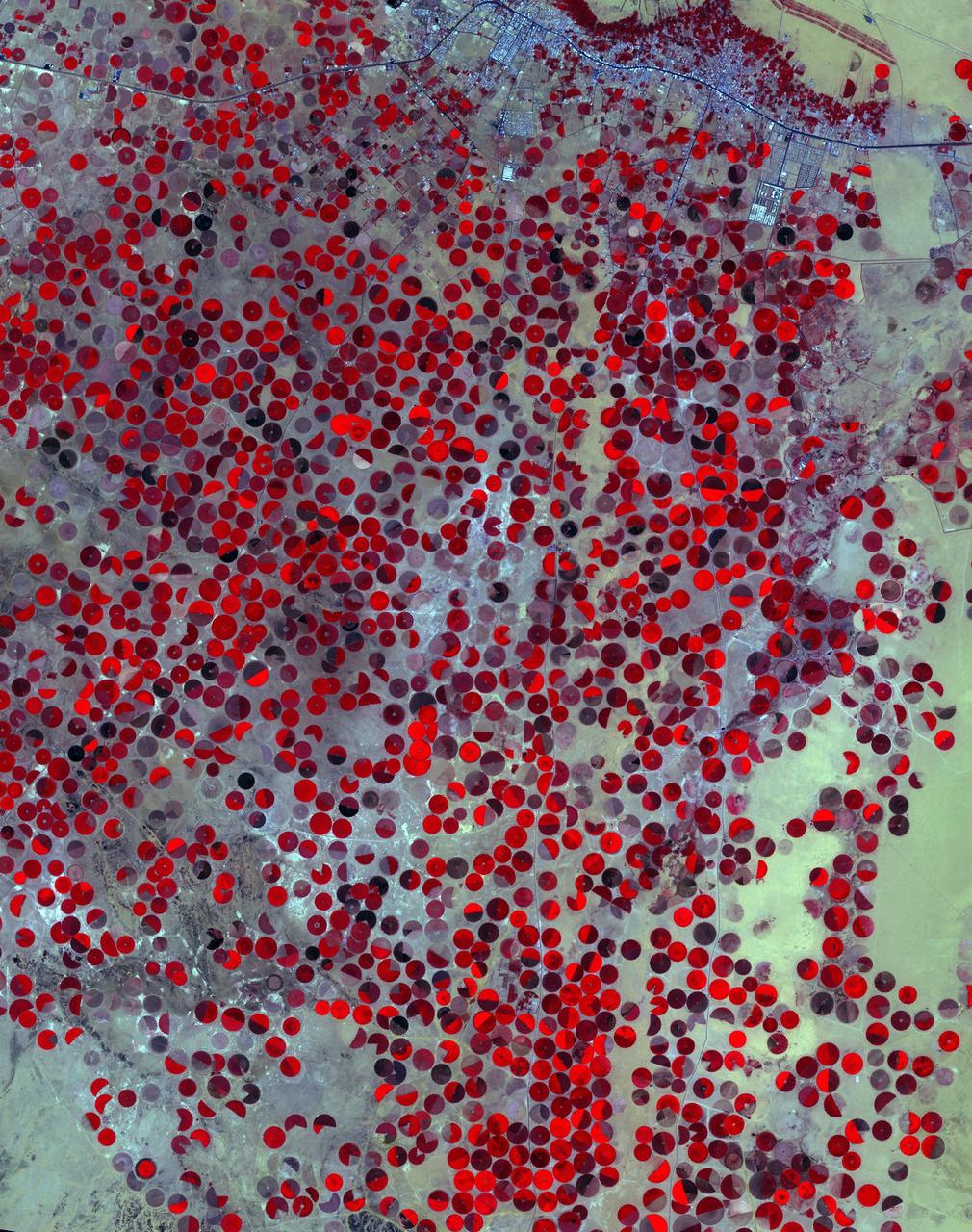 The Wajid Aquifer in Saudi Arabia underlies about 450,000 square kilometers in Saudi Arabia and Yemen. The area around Wadi Al Dawasir, Saudi Arabia, relies on the aquifer to provide water for the extensive development of agriculture. As a result the water level in the aquifer system has dropped 6m/yr for the past 20 to 30 years. Heavy use of water has led to the exhaustion of the aquifer in some areas (Inventory of Shared Water Resources in Western Asia. DOI: https://dx.doi.org/10.18356/d8517580-en). The images were acquired June 30, 2000, and April 26, 2017, cover an area of 34.6 by 43.9 kilometers, and are located at 20.1 degrees north, 44.7 degrees east.  https://photojournal.jpl.nasa.gov/catalog/PIA23490