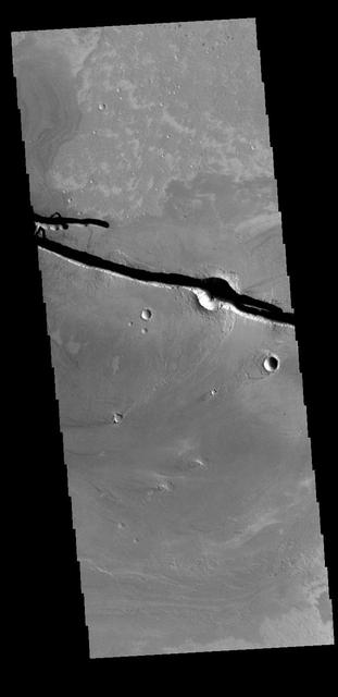 The linear depressions at the top half of this VIS image are graben that are called Cerberus Fossae. Graben form where extensional tectonic forces allows blocks of material to subside between paired faults. Cerberus Fossae are located in Elysium Planitia, southeast of the Elysium Mons volcanic complex. This graben is also the source of significant liquid flows, which created Athabasca Valles. The actual formation liquid proposed include flood water, low viscosity lava, and even glaciers. It is possible that water and lava both played a role in creating the channel system. Orbit Number: 78821 Latitude: 10.1133 Longitude: 157.297 Instrument: VIS Captured: 2019-09-21 10:33 https://photojournal.jpl.nasa.gov/catalog/PIA23503