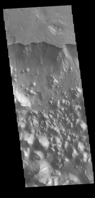 This VIS image shows part of Aronatum Chaos. Aromatum Chaos is a depression about 90 km (56 mi) long by 30 km (20 mi) wide. At it's deepest Aronatum Chaos is 3,500 meters (11,500 ft) below the Xanthe Terra. On average, however, Aromatum is about 1,500 m (4,900 ft) deep. Mars scientists interpret chaos regions as places where groundwater has broken out and undermined the surface, loosening the rocky material and washing it away. Aronatum Chaos is at the head of Ravi Vallis, a 200 kilometers (125 miles) long channel located in Xanthe Terra. Orbit Number: 78828 Latitude: -1.00608 Longitude: 316.825 Instrument: VIS Captured: 2019-09-22 00:20 https://photojournal.jpl.nasa.gov/catalog/PIA23523
