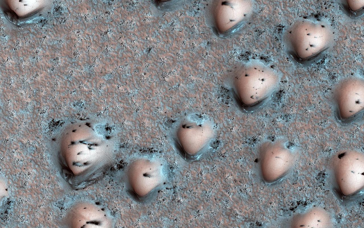 It's spring in the Northern Hemisphere of Mars, and the polar region is still blanketed by seasonal carbon dioxide frost (dry ice). This image shows an area near the sand sea (called an "erg") that is surrounding the water ice-rich layered deposits.  The many bumps are sand dunes less than 100 meters across that are mostly covered by seasonal frost, appearing in a manner that looks artificial but is a natural consequence of the wind patterns in this region. The smaller, darker spots are places where the seasonal frost has sublimed away, exposing the dark surface below. The combination of these features makes for an unearthly scene!   https://photojournal.jpl.nasa.gov/catalog/PIA23527