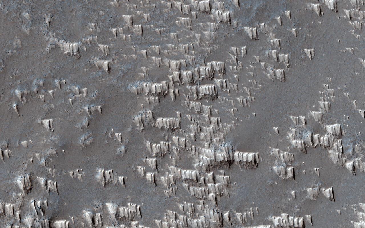 Wind-blown deposits known as transverse aeolian ridges (TARs) are frequently visible in images of the Martian tropics. They are bright ripples with heights of 2.6 meters and spacing that averages 47 meters. The TARs generally appear inactive and eroded, sometimes cratered or littered with boulders from nearby impacts and avalanches.  In Syria Planum, unusual bright deposits might be accumulations of dust blown from higher to lower elevations by nighttime slope winds, reaching speeds of up to 50 meters per second. These dust deposits resemble TARs in height and spacing but with a distinct shape from other TARs. A close up view shows that the deposits form pyramidal features with steep faces on the upwind sides (wind is blowing from the top of the picture) and tapered slopes in the downwind direction. Ridges form where the "pyramids" line up together, and the spacing of the ridges appears to be controlled by the length of the "pyramids."  These observations suggest that TARs elsewhere on Mars may have formed in a similar fashion, perhaps millions of years ago when the atmosphere was more active. They also may be forming in Syria Planum today.  https://photojournal.jpl.nasa.gov/catalog/PIA23529