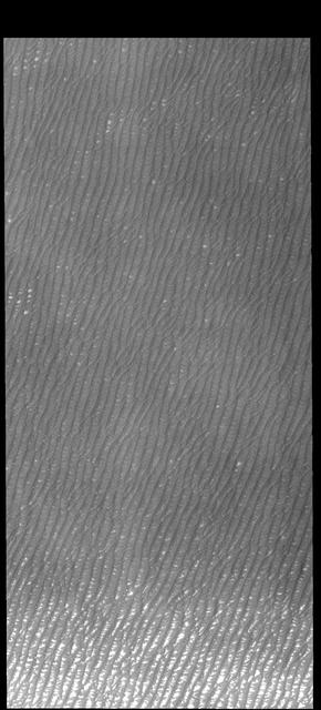 NASA image: Olympia Undae