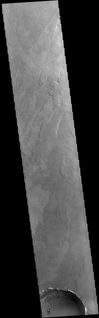 This VIS image shows a small portion of the vast lava flow field of Daedalia Planum. The flows originate at Arsia Mons, the southernmost and youngest of the three large aligned volcanoes in the Tharsis region. Arsia Mons' last eruption was tens of million years ago. The youngest volcano in the region is Olympus Mons, the largest volcano in our solar system.  Orbit Number: 78993 Latitude: -22.11 Longitude: 239.279 Instrument: VIS Captured: 2019-10-05 14:17  https://photojournal.jpl.nasa.gov/catalog/PIA23540