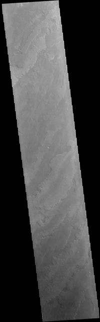 This VIS image shows a small portion of the vast lava fields called Daedalia Planum. These flows originated from Arsia Mons, the southernmost and youngest of the three aligned Tharis volcanoes. Different surface textures arise from different factors in the flows, such as temperature, flow volume, composition and cooling rates. Orbit Number: 79018 Latitude: -22.1992 Longitude: 238.021 Instrument: VIS Captured: 2019-10-07 15:42 https://photojournal.jpl.nasa.gov/catalog/PIA23542