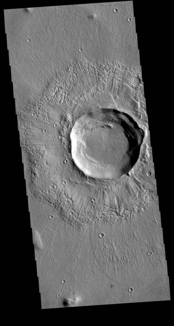 This VIS image shows an unnamed crater located in Utopia Planitia. The surface of the ejecta contains radial grooves, visible on both the thicker near crater ejecta and the outer thin ejecta layer. The formation mechanism for the grooves is still unknown but several theories exist including basal surge flows and air pressure rock entrianment. Orbit Number: 79023 Latitude: 33.0045 Longitude: 86.1051 Instrument: VIS Captured: 2019-10-08 01:53 https://photojournal.jpl.nasa.gov/catalog/PIA23543