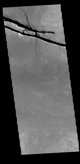 The linear depressions at the top of the VIS image are some of the graben that comprise Cerberus Fossae. Graben form where extensional tectonic forces allows blocks of material to subside between paired faults. Cerberus Fossae is located in Elysium Planitia, southeast of the Elysium Mons volcanic complex. These graben were also the source of significant volcanic flows, creating the flow features to the top and the bottom of the graben. These flows are called Athabasca Valles. Water may have also been released from the graben, creating a complex history for channel forms in this region. Orbit Number: 79108 Latitude: 10.0044 Longitude: 157.144 Instrument: VIS Captured: 2019-10-15 01:44 https://photojournal.jpl.nasa.gov/catalog/PIA23568