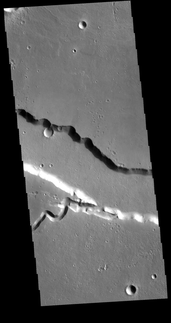 Today's VIS image contains a section of one of the many channel forms found radial to the Elysium Mons volcanic complex. In this case the fossae is located to the east of the volcano. The channel features are thought to have both a tectonic and volcanic origin. The linear depression resembles a graben (formed by tectonic forces) and the smaller sinuous channel below the large linear depression more closely resembles features caused by fluid flow — either lava or water created by melting subsurface ice by volcanic heating. Orbit Number: 79133 Latitude: 23.9518 Longitude: 153.966 Instrument: VIS Captured: 2019-10-17 03:13 https://photojournal.jpl.nasa.gov/catalog/PIA23571