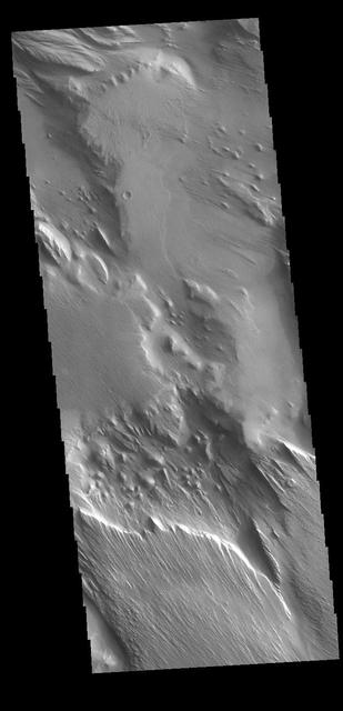 This VIS image shows part of Medusa Fossae. Winds have eroded materials in this region, creating ridges and valleys aligned with the direction of the wind. These features are created by long term winds scouring a poorly cemented surface material. It has been suggested that this region of Mars provides a large percentage of the surface dust seen around the planet. Ash falls from nearby volcanoes may have been the source of the surface materials eroded into these and other wind eroded landforms.  Orbit Number: 79144 Latitude: -4.5831 Longitude: 200.487 Instrument: VIS Captured: 2019-10-18 00:48  https://photojournal.jpl.nasa.gov/catalog/PIA23576