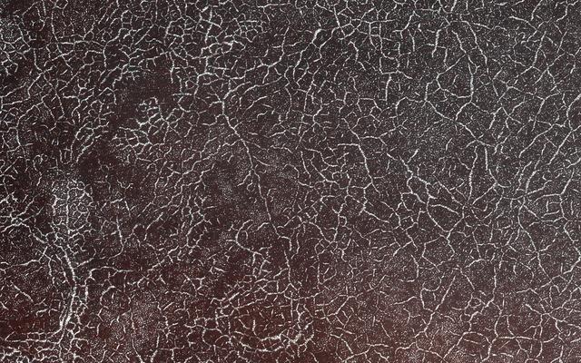 NASA image: Polygonal Patterns Highlighted by Frost