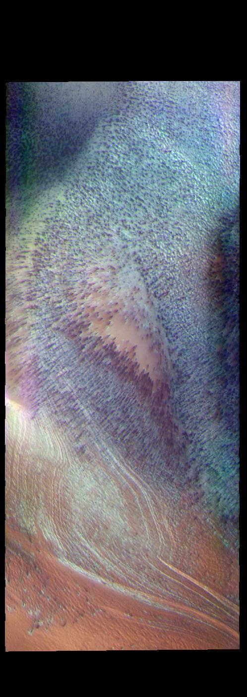 This false color image shows part of the south polar cap. The cap was created over millions of years with deposition of ice and dust during different seasons. This image was collected during spring time. In addition to the layers of ice/dust (bottom of image) the surface of the ice contains dark spots, may of which are elongated. The process forming these spots is still not understood, but likely occurs by geysers of ice and dust that erupt in regions of thin CO2 ice (dry ice). These spots will fade from view as spring changes into summer.  The THEMIS VIS camera contains 5 filters. The data from different filters can be combined in multiple ways to create a false color image. These false color images may reveal subtle variations of the surface not easily identified in a single band image.  Orbit Number: 65107 Latitude: -86.2797 Longitude: 98.6099 Instrument: VIS Captured: 2016-08-17 17:37  https://photojournal.jpl.nasa.gov/catalog/PIA23614