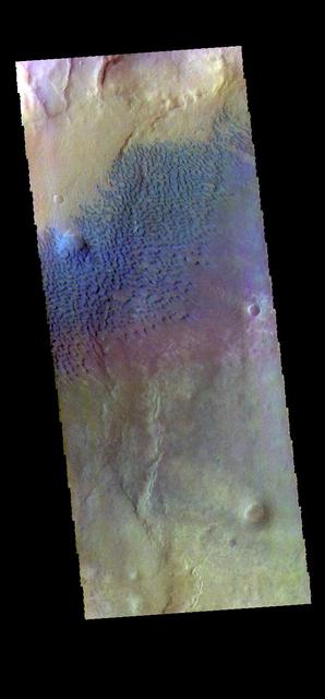 This false color image shows sand dunes on the floor of Sumgin Crater. The crater is located in Noachis Terra north of Argyre Planitia and is 85 km (53 miles) in diameter. Dark blue in this color combination typically means basaltic sands. The THEMIS VIS camera contains 5 filters. The data from different filters can be combined in multiple ways to create a false color image. These false color images may reveal subtle variations of the surface not easily identified in a single band image. Orbit Number: 66517 Latitude: -36.4993 Longitude: 311.197 Instrument: VIS Captured: 2016-12-11 21:42 https://photojournal.jpl.nasa.gov/catalog/PIA23628