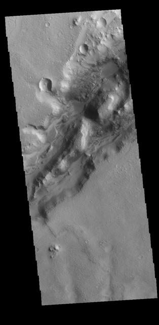 Today's VIS image shows a section of a graben that is part of Nili Fossae. Graben are formed when a block of material drops downward between paired tectonic faults. Graben usually have straight sides with little sinuosity, whereas fluvial channels typically have large amounts of sinuosity along the length of the depression. Nili Fossae is located northeast of the large volcano Syrtis Major and northwest of the ancient impact basin Isidis Planitia. The graben, which can be about 500 meters (1,600 feet) deep, make concentric curves that follow the outline of Isidis Planitia. The faults likely formed as the crust sagged under the weight of lava flows filling Isidis Planitia. Orbit Number: 79198 Latitude: 23.3881 Longitude: 78.7422 Instrument: VIS Captured: 2019-10-22 11:40 https://photojournal.jpl.nasa.gov/catalog/PIA23632