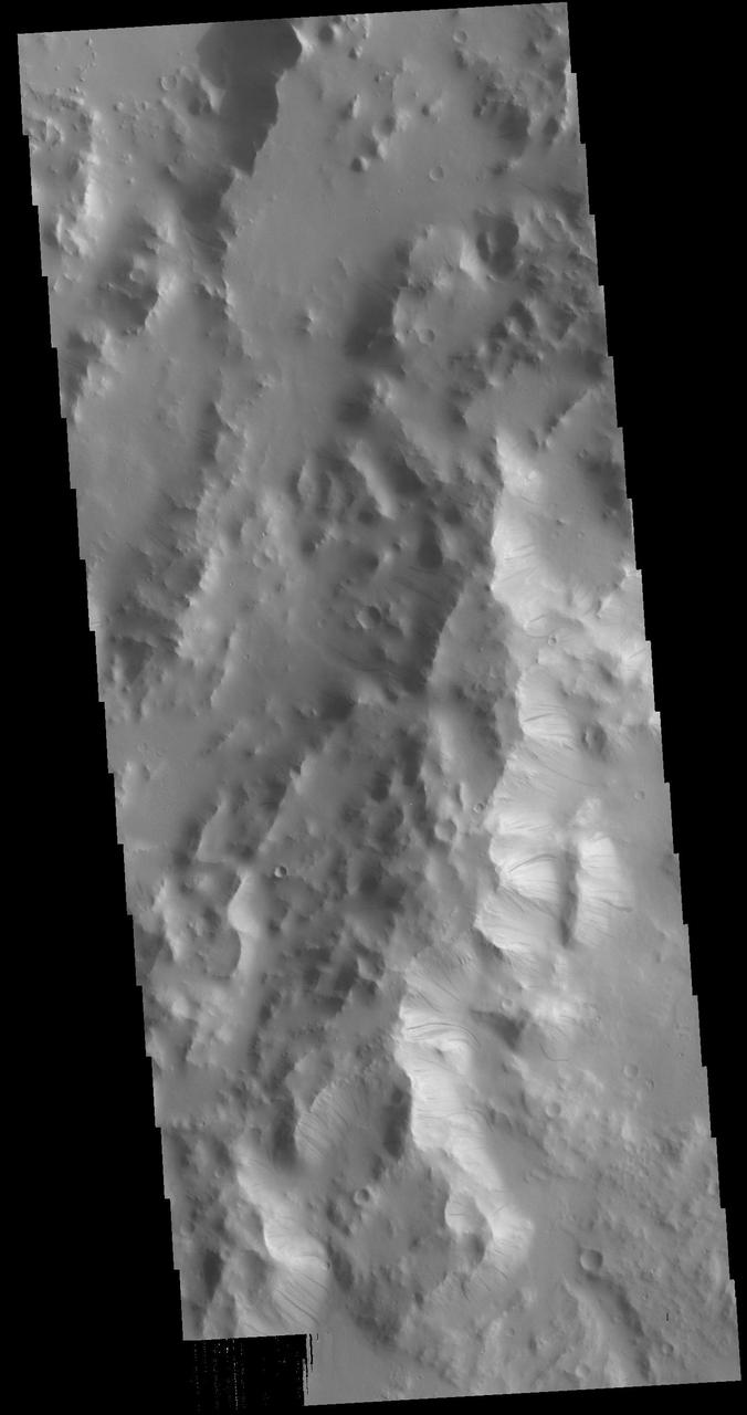 Today's VIS image is located on the eastern margin of Orcus Patera. Dark slope streaks are present on most ridges in the image. Formation of these features is linked to a change in the surface, either removal of the dusty surface revealing darker rock beneath the dust, or a volatile flow along the cliff face. The mechanism that formed Orcus Patera is unknown. While the term "patera" is tied to volcanic activity, the elongate shape might also have been caused by a low angle meteor impact. Orbit Number: 79232 Latitude: 12.9315 Longitude: 179.284 Instrument: VIS Captured: 2019-10-25 06:48 https://photojournal.jpl.nasa.gov/catalog/PIA23640
