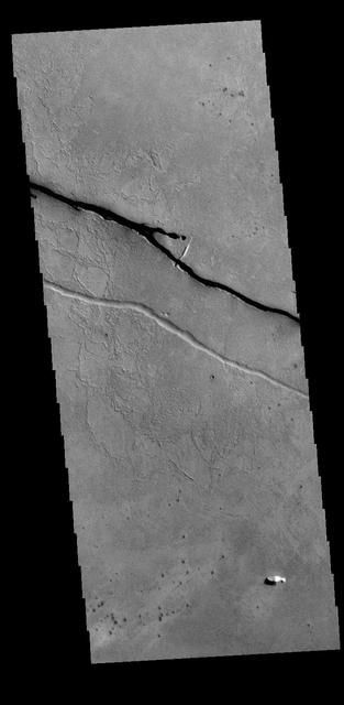 The linear depressions in this VIS image are part of the Cerberus Fossae fracture system. The system is made up of parallel graben created by tectonic forces pulling the crust apart. The entire system is 1235km long (767 miles).  Orbit Number: 79270 Latitude: 8.68461 Longitude: 163.521 Instrument: VIS Captured: 2019-10-28 09:53  https://photojournal.jpl.nasa.gov/catalog/PIA23653