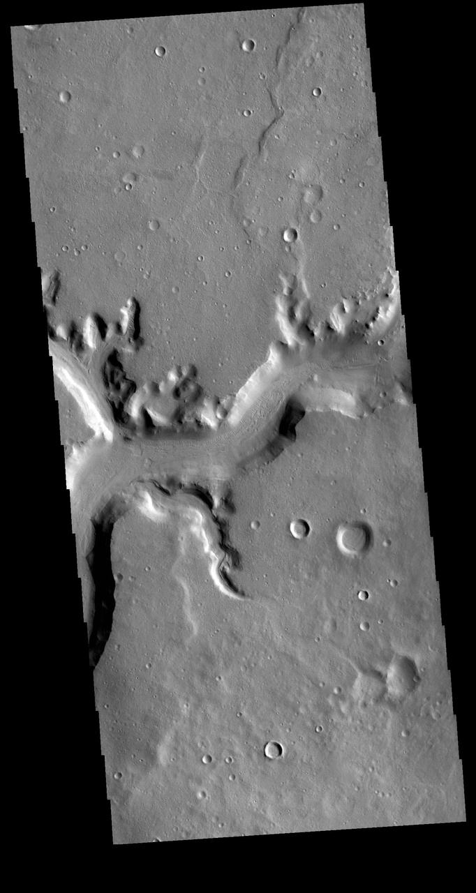Today's VIS image shows a section of Mamers Valles. The channel is nearly 1000 km long (600 miles). Mamers Valles originates near Cerulli Crater in northern Arabia Terra, and after a short section near the crater where flow is to the south, flows northward to empty in Deuteronilus Mensae. The steep walls of Mamers Valles can reach heights of 1200 m (4000 feet). Orbit Number: 79487 Latitude: 31.1242 Longitude: 19.9702 Instrument: VIS Captured: 2019-11-15 06:50 https://photojournal.jpl.nasa.gov/catalog/PIA23663