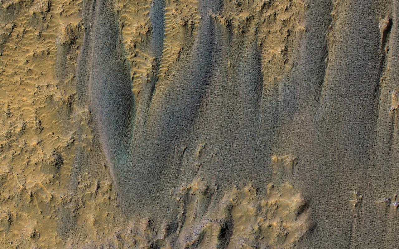 Active sand dunes are common on Mars, and have a variety of surface textures. The "braided" texture visible here may be typical of dunes that are transitioning into sand sheets. https://photojournal.jpl.nasa.gov/catalog/PIA23674