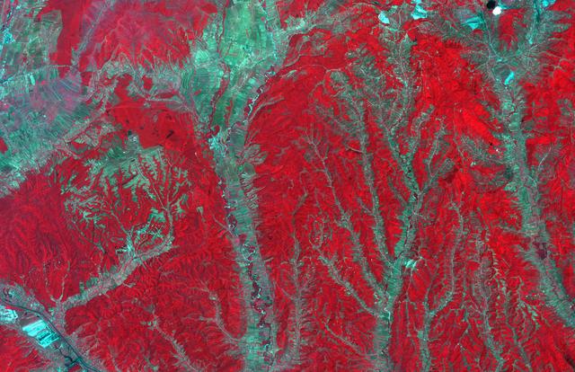 NASA image: Gorj Province, Romania