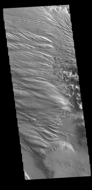 NASA image: Medusae Fossae