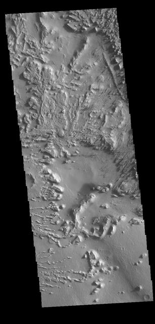 Today's VIS image shows the surface between Aeolis Planum and Zephyria Planum in Elysium Planitia. Long term winds have eroded the surface in this region. Features align with wind direction, and the multiple ridge orientations in this image indicate varying wind directions over time. Orbit Number: 79757 Latitude: -5.05219 Longitude: 155.498 Instrument: VIS Captured: 2019-12-07 12:12 https://photojournal.jpl.nasa.gov/catalog/PIA23708