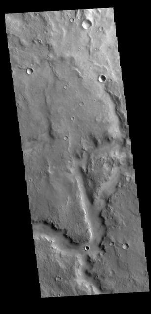 Today's VIS image shows a portion of an unnamed channel in Arabia Terra.  Orbit Number: 79850 Latitude: -5.14669 Longitude: 352.509 Instrument: VIS Captured: 2019-12-15 03:59  https://photojournal.jpl.nasa.gov/catalog/PIA23733