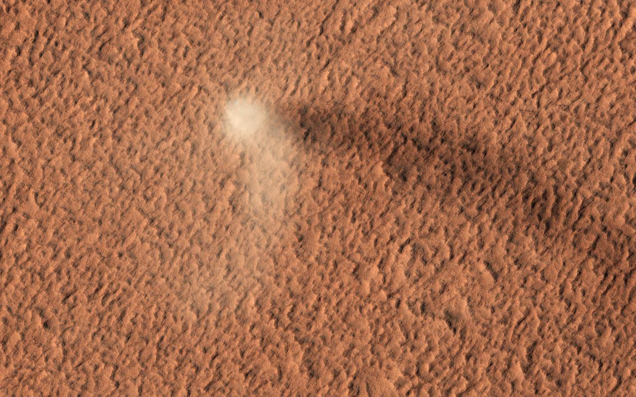 The HiRISE camera has done it again: here is yet another stunning image of an active dust devil on Mars.  Dust devils are rotating columns of dust that form around low-pressure air pockets, and are common on both Earth and Mars. This Martian dust devil formed on the dust-covered, volcanic plains of Amazonis Planitia. The dust devil is bright, and its core is roughly 50 meters across. The dark streak on the ground behind the dust devil is its shadow. The length of the shadow suggests the plume of rotating dust rises about 650 meters into the atmosphere!  There are several HiRISE images of tracks left behind by dust devils, but it is rare to catch one in motion.  https://photojournal.jpl.nasa.gov/catalog/PIA23736