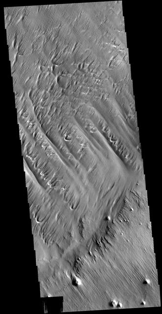 NASA image: Eumenides Dorsum