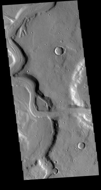 NASA image: Mamers Valles