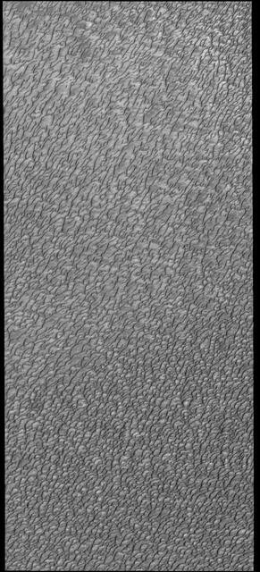 This VIS image of Olympia Undae was collected during north polar summer. The density of dunes and the alignments of the dune crests varies with location, controlled by the amount of available sand and the predominant winds over time.  Olympia Undae is a vast dune field in the north polar region of Mars. It consists of a broad sand sea or erg that partly rings the north polar cap from about 120° to 240°E longitude and 78° to 83°N latitude. The dune field covers an area of approximately 470,000 km2 (bigger than California, smaller than Texas). Olympia Undae is the largest continuous dune field on Mars. Olympia Undae is not the only dune field near the north polar cap, several other smaller fields exist in the same latitude, but in other ranges of longitude, e.g. Abolos and Siton Undae. Barchan and transverse dune forms are the most common. In regions with limited available sand individual barchan dunes will form, the surface beneath and between the dunes is visible. In regions with large sand supplies, the sand sheet covers the underlying surface, and dune forms are found modifying the surface of the sand sheet. In this case transverse dunes are more common. Barchan dunes "point" down wind, transverse dunes are more linear and form parallel to the wind direction. Transverse dunes cover the top half of this image.  Orbit Number: 80092 Latitude: 81.4474 Longitude: 183.52 Instrument: VIS Captured: 2020-01-04 02:42  https://photojournal.jpl.nasa.gov/catalog/PIA23751