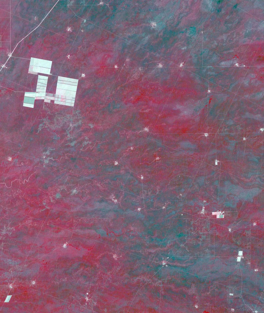 In northern Argentina's Salta province, the chaco forests, made up of shrubs and hardwood trees, once thrived in the region. In the past 30 years, large-scale farming and ranch operators have cleared broad areas of the chaco, and replaced with industrial-scale raising of crops and livestock. The December 1, 1989 Landsat TM image is dominiated by traditional puestos, settlements consisting of a few dwellings and small-scale crops located near a well. The November 19, 2019 ASTER image shows large fields arranged in a grid pattern. The chaco forest has almost disappeared. The images cover an area of 22.2 by 27.8 km, and are located at 24.9 degrees south, 63.5 degrees west.  https://photojournal.jpl.nasa.gov/catalog/PIA23756